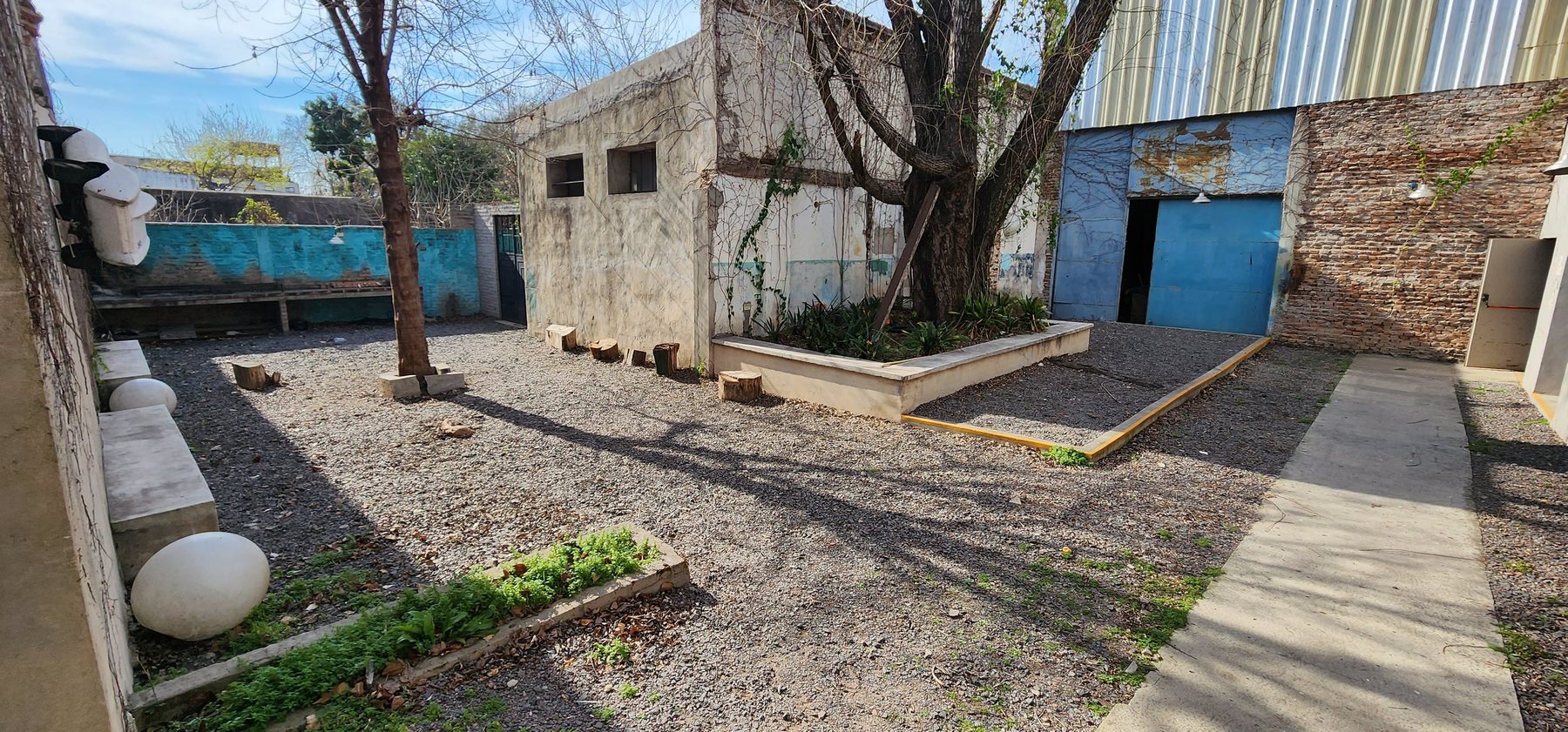 El patio del taller con el árbol